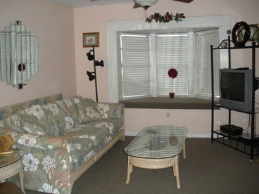 Living room, (sleeper sofa)