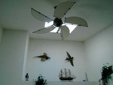 SKYLIGHTS & PADDLE FAN