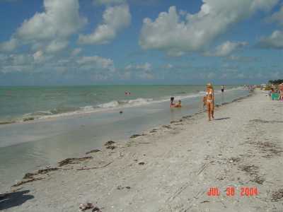 Sanibel Shelling Beach