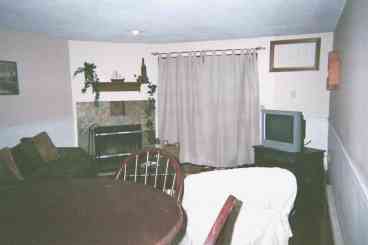 Fireplace/Living Room