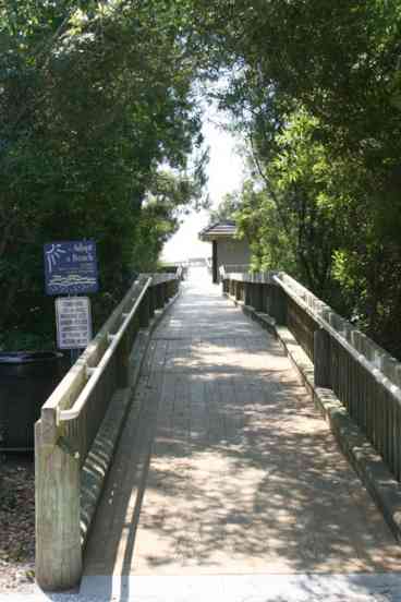 Shaded Beach Path w/ Showers and Restrooms
