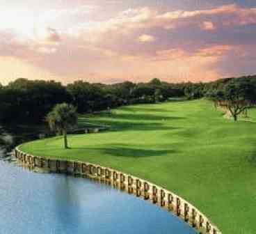 Championship Golf