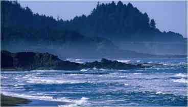 5 minutes stroll to beach