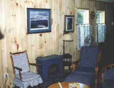 View of living area showing the pine paneled wall and gas fireplace. 