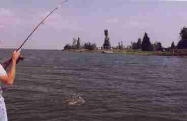 Cottage Directly on Lake Champlain- The Maples