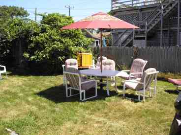 Back yard