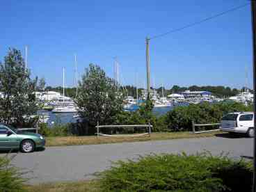 View from the yard!