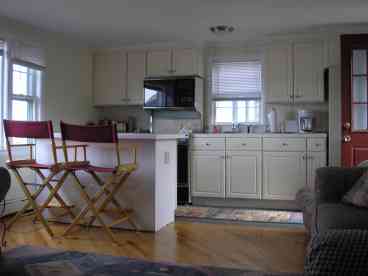 Renovated kitchen and family room