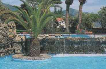Limoneros 24