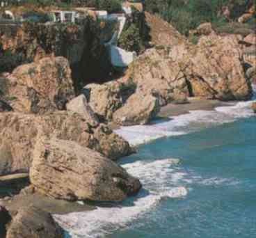 Limoneros 24