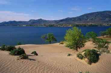 Private Beachview!!!
