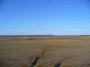 Marsh and Sound View