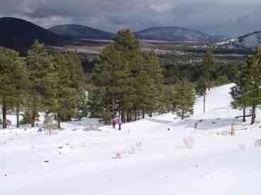 Fresh snow