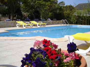 Garden and Pool
