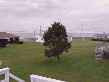 View from deck