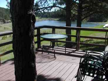Elevated deck w/ponderosa pine growing through it!