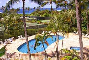 Jacuzzi and Pool