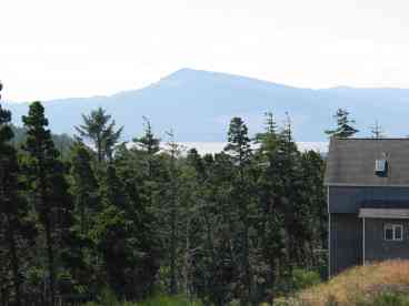 View from downstairs deck