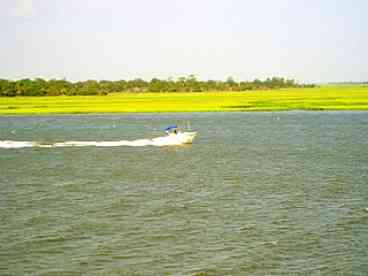 Fishing charters over to Little Tybee.  View from one of your porches