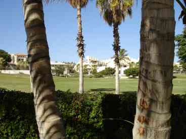Enjoy playing golf at one of the many golf courses, one right in your backyard.