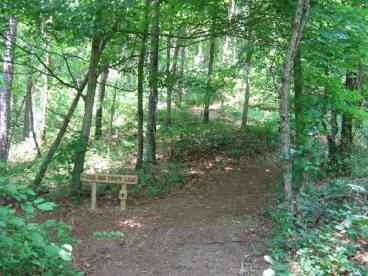 Groomed Trails