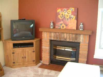 Gas fireplace in living area with cathedral ceiling