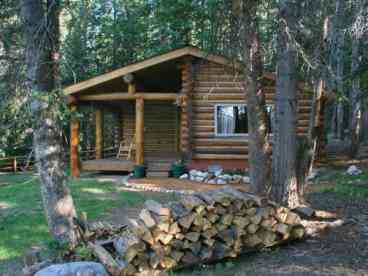 Bear Den Cabin
This cabin has a porch support which was made from a Grizzly Bear territorial tree