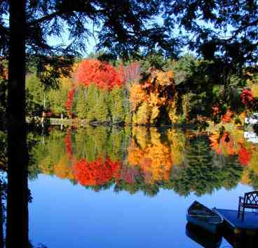 The Cottage on Puffer's Pond