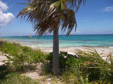 Ocean at Waters Edge -- Perfect for Snorkeling and Swimming