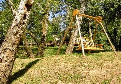 Picture of Swing