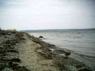 Beach in Early Spring