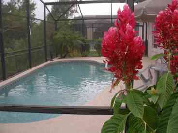 Pool facing south sourounded by conservation area