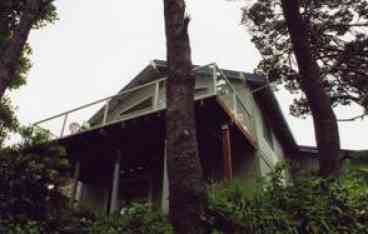 Back Deck