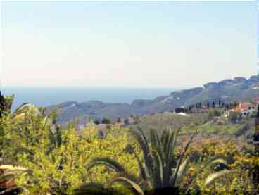 View from terrace