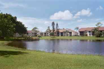 Lake view