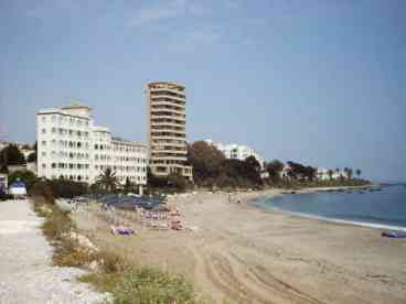 The Local Beach