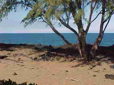 Ocean View from Lanai