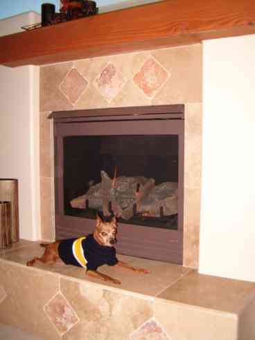 Photo 4