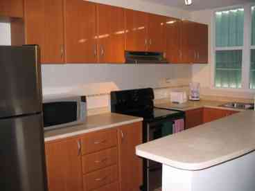 Charming Vacation Beach Condo - Loiza, near San Juan, Puerto Rico