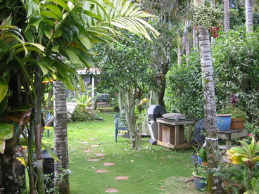 back yard