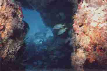 Inside Thunderball
