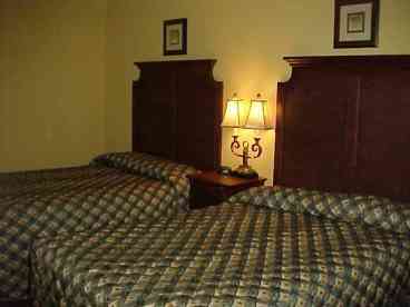 Bedroom - 2 Full Beds