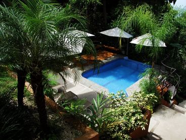 Large pool area with infinity edge and waterfall