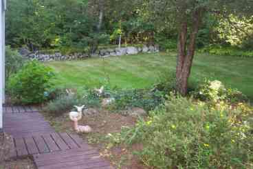 Back yard