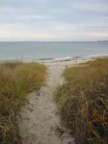 Beach path