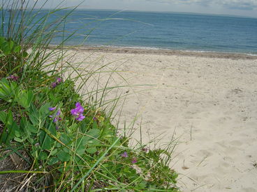 Our neighborhood beach