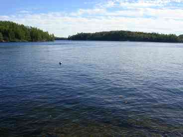 Lake Muskoka Cottage Rental