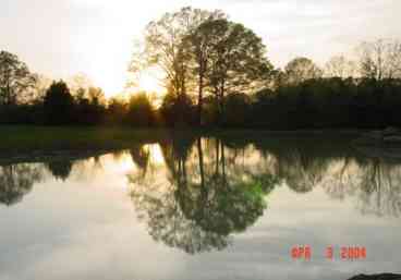 Fishing Lake