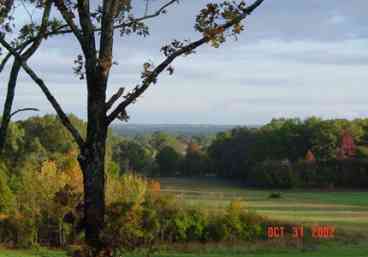 Scenic Views