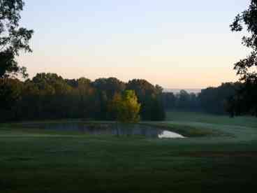 Overlooking Pond